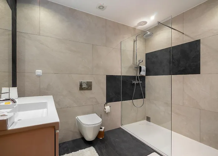 Διαμέρισμα Penthouse Bicas